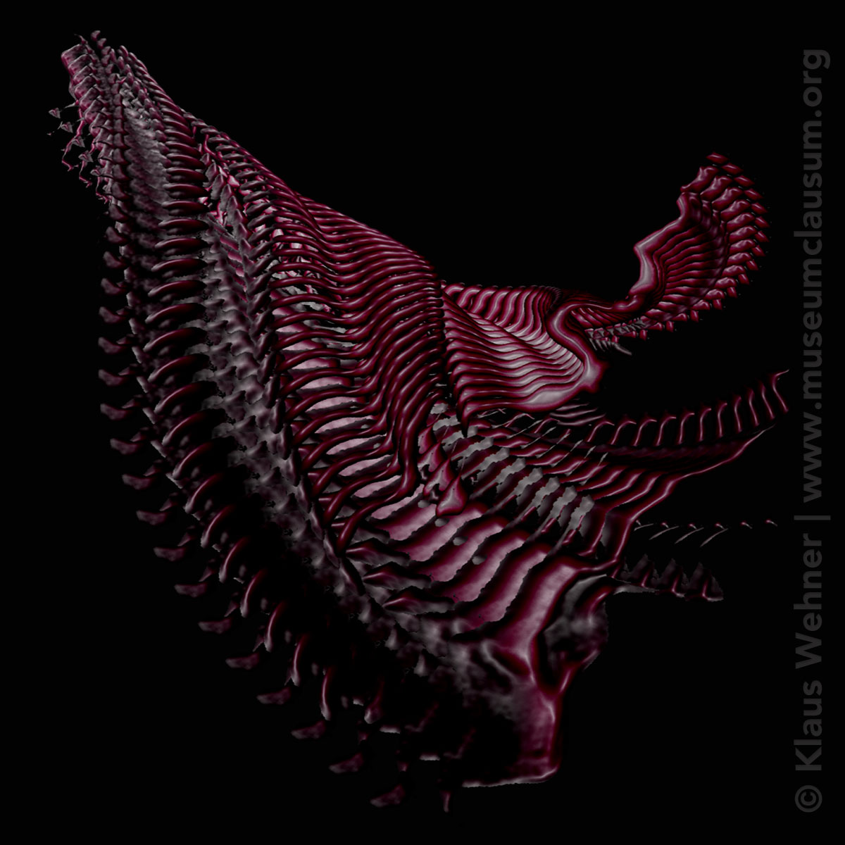 Digital photomontage: Self Adjustment #02