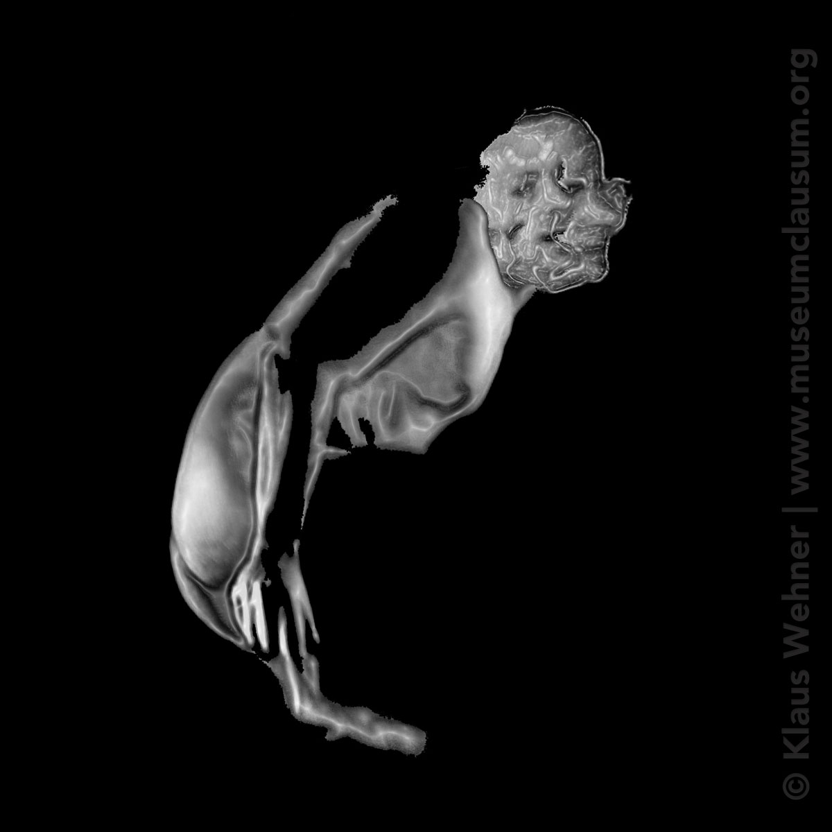 Digital photomontage: Self Adjustment #02