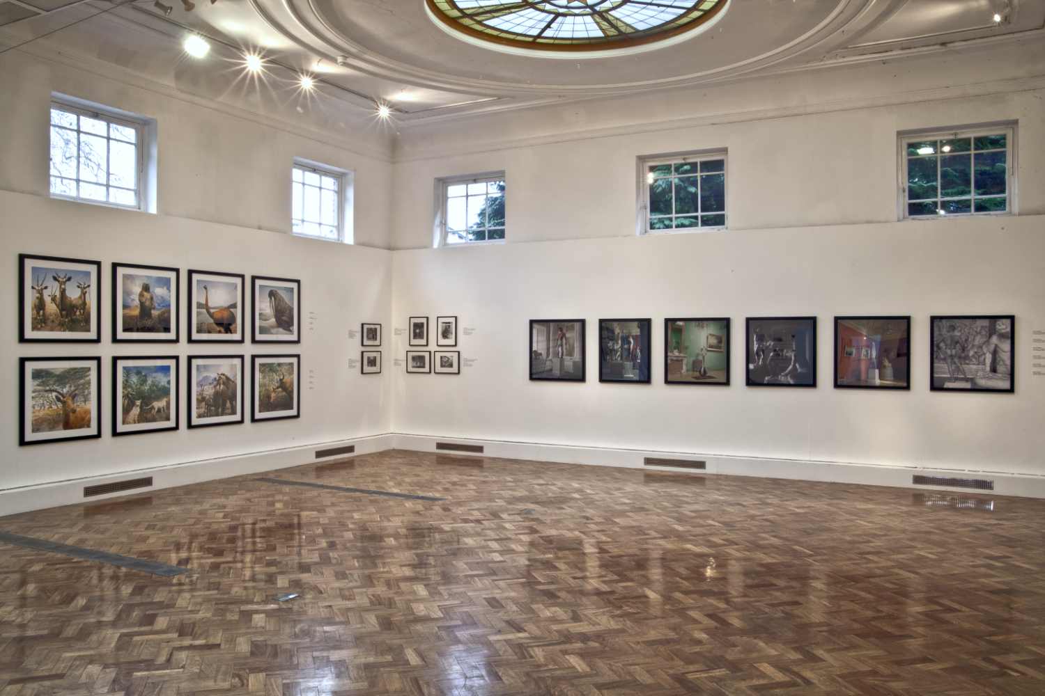Installation view of 'Wundercamera Savannah' at the Jepson Center, Telfair Museums, Savannah in 2017