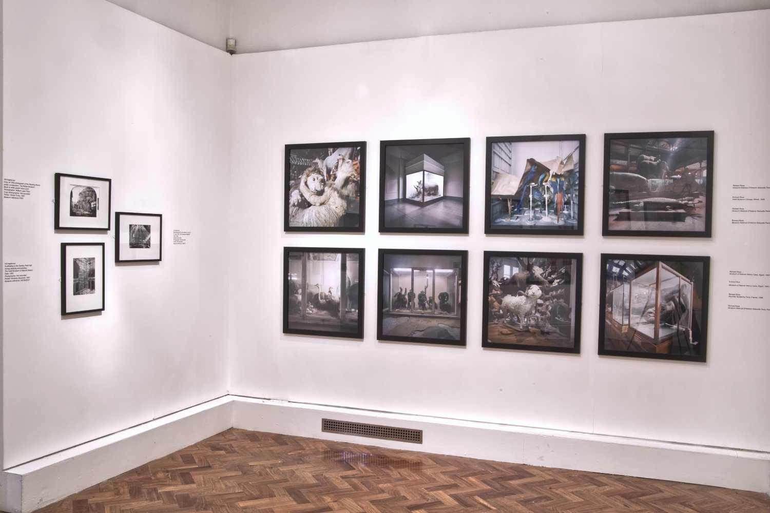 Installation view of 'Wundercamera Savannah' at the Jepson Center, Telfair Museums, Savannah in 2017