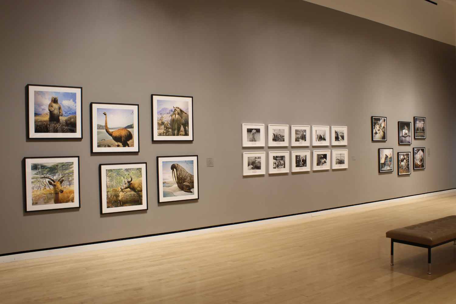 Installation view of 'Wundercamera Savannah' at the Jepson Center, Telfair Museums, Savannah in 2017